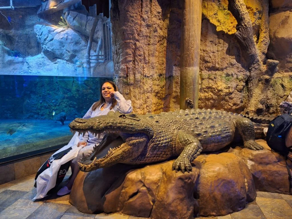 Dubai_Ponytail_Excursions 10 1024x768 1