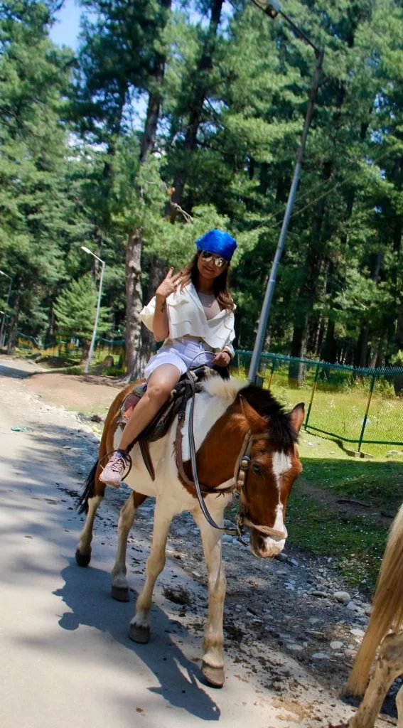 Kashmir_Ponytail 3 567x1024 1