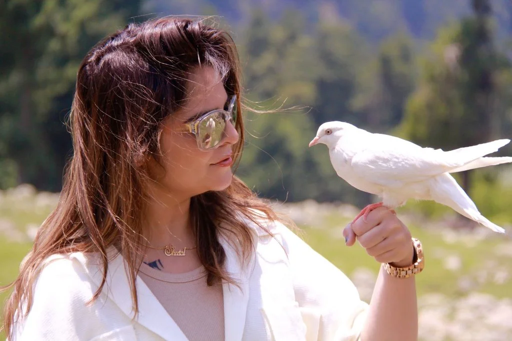 Kashmir_Ponytail 4 1024x683 1