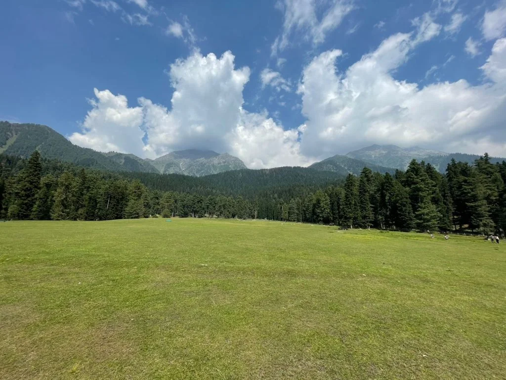 Kashmir_Ponytail 5 1024x768 1