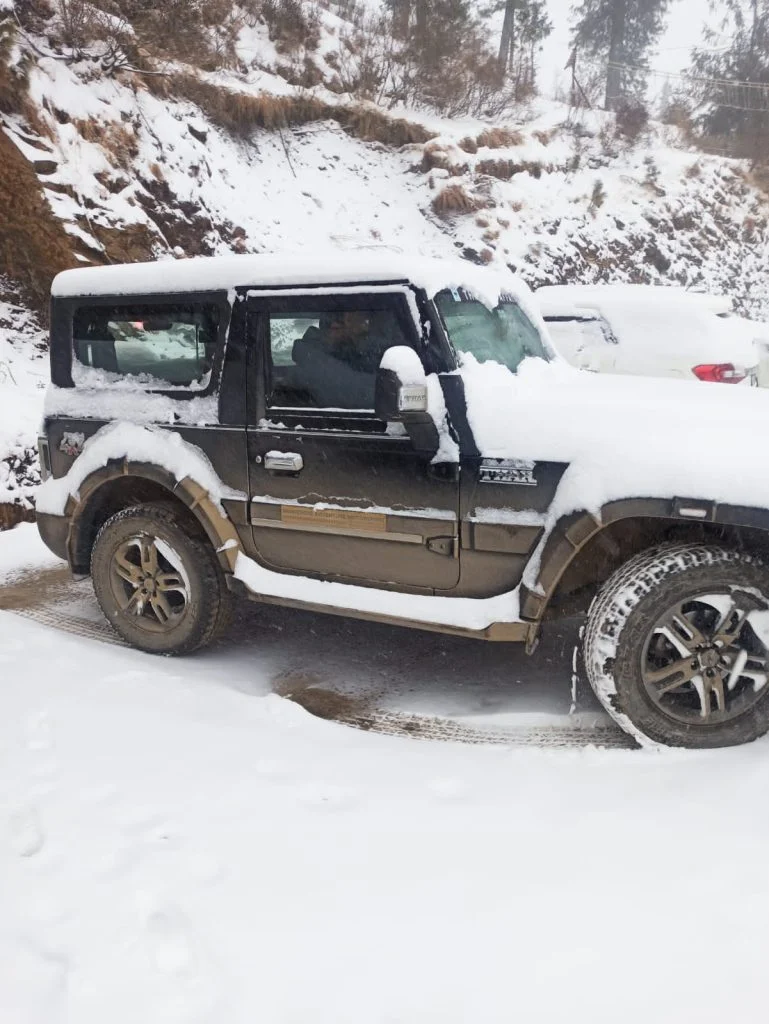 Ladakh_Ponytail 17 769x1024 1