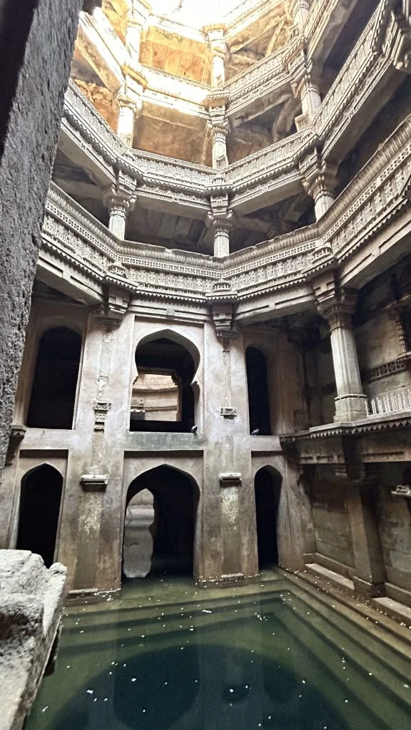 Rann of Kutch Ponytail Excursions 15 576x1024 1