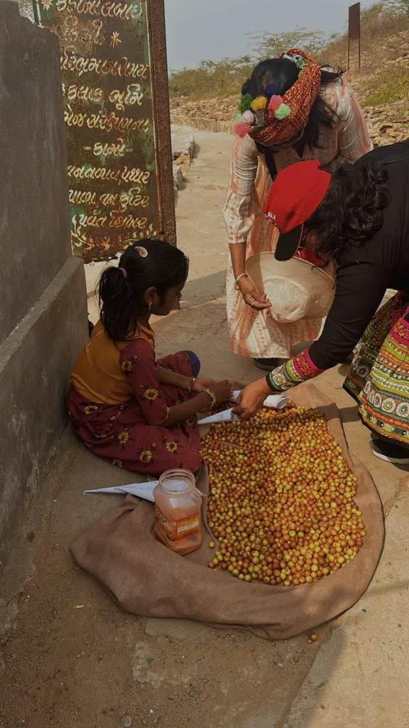 Rann of Kutch Ponytail Excursions 25 576x1024 1
