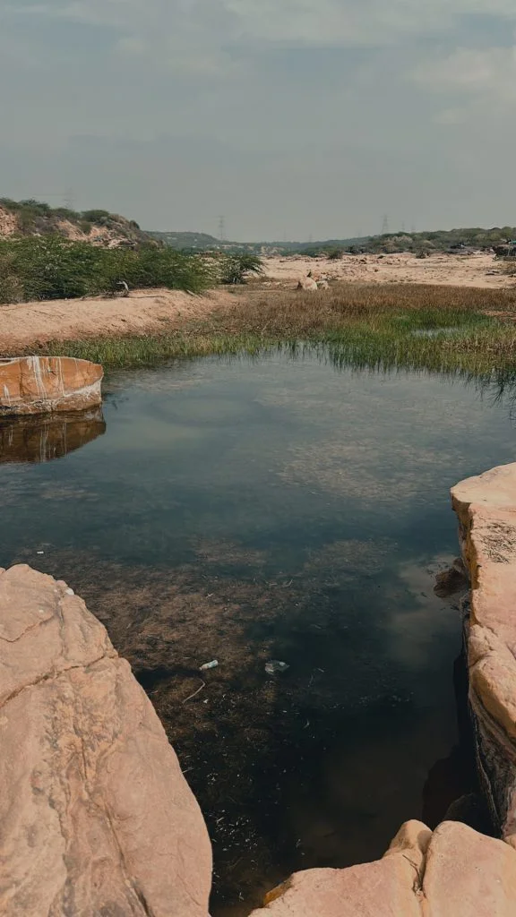 Rann of Kutch Ponytail Excursions 27 576x1024 1