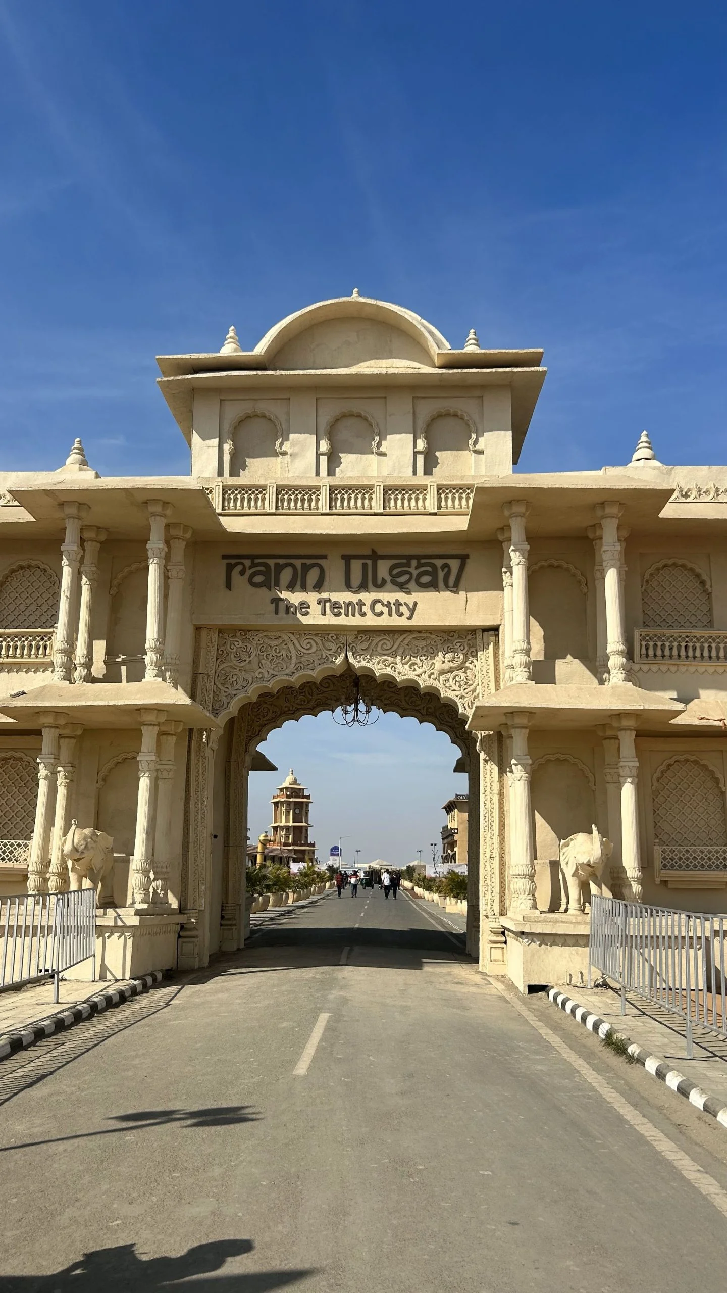 Rann of Kutch Ponytail Excursions 6 scaled 1